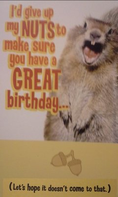 Happy bday squirrel55432574.jpg