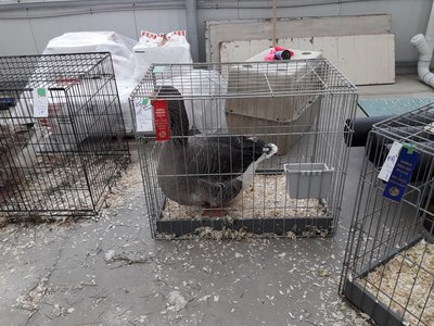 20171209_133049.jpg