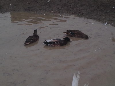 20151212_143549787810981.jpg