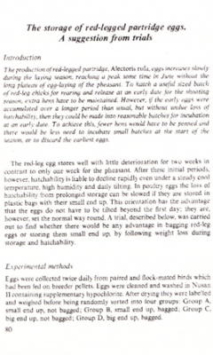Storage of eggs1-417695675.png