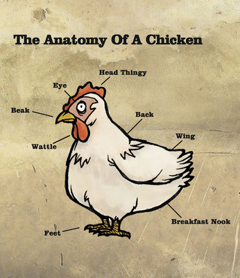 chickenanatomysm.jpg