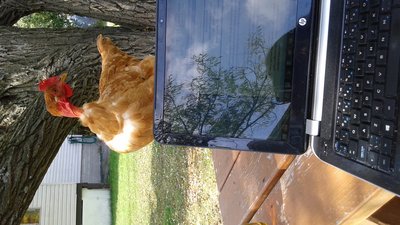 20161006_130841.jpg