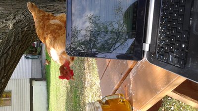 20161006_130837.jpg