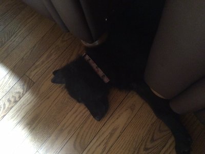 image.jpeg