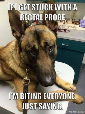 image.jpeg