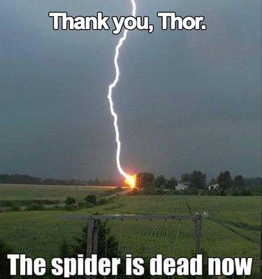 image.jpeg