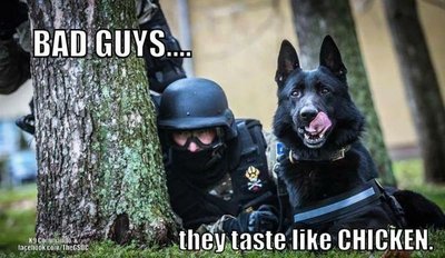 image.jpeg