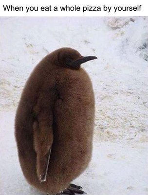image.jpeg