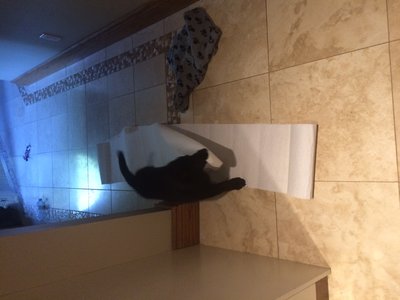 image.jpeg