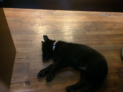image.jpeg