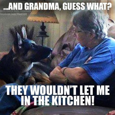 image.jpeg
