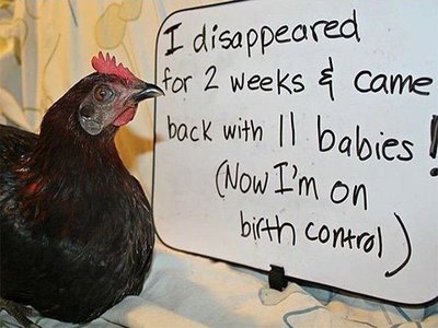 image.jpeg