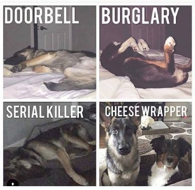 image.jpeg
