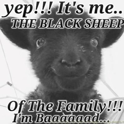 image.jpeg