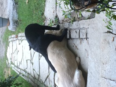 image.jpeg