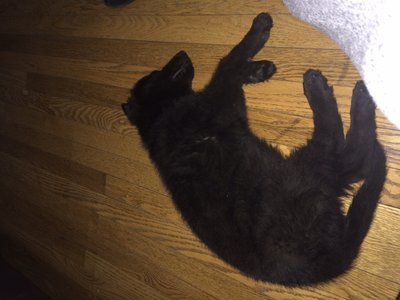 image.jpeg