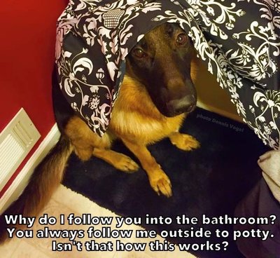 image.jpeg
