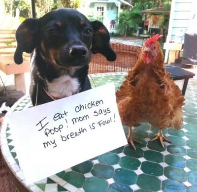 image.jpeg