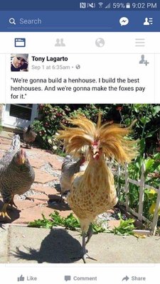 image.jpeg