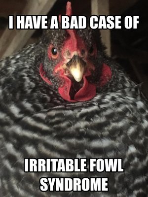 image.jpeg