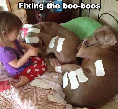 image.jpeg