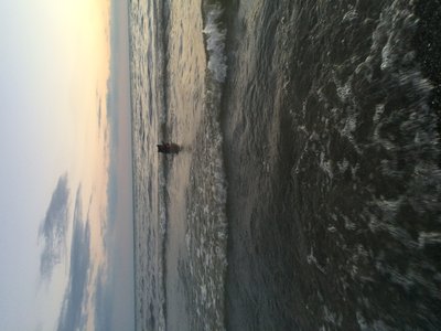 image.jpeg