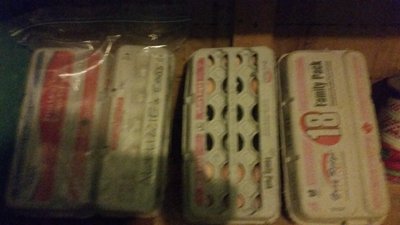 20160401_083328.jpg