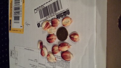 20160120_184955.jpg