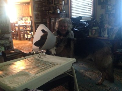image.jpeg (37.22 KiB) Viewed 4246 times image.jpeg