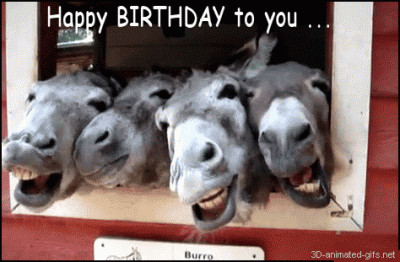 image.gif