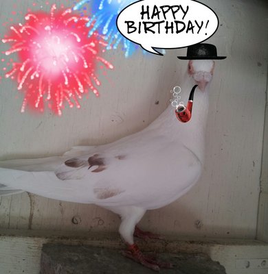 image.jpeg (236.74 KiB) Viewed 2459 times image.jpeg