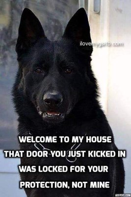 image.jpeg