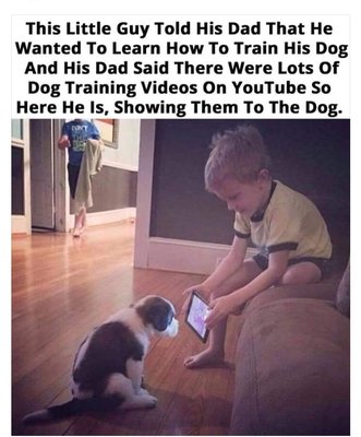 32A798FE-ABF2-41C1-8AD4-E5E1916AD290.jpeg