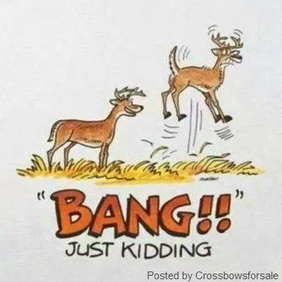 image.jpeg