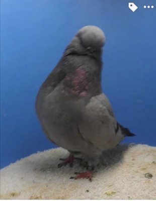 image.jpeg