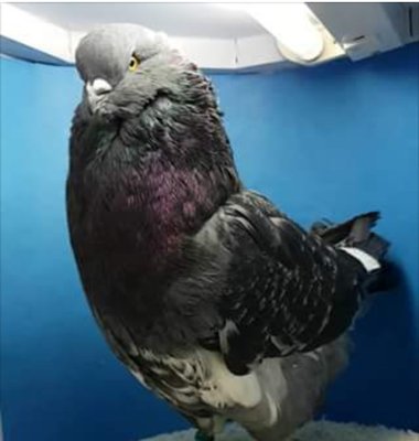 image.jpeg