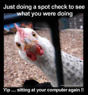 image.jpeg