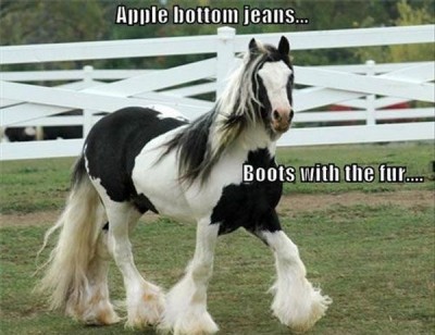 image.jpeg