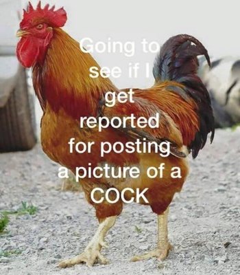 image.jpeg
