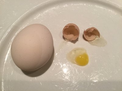 IMG_0040.JPG