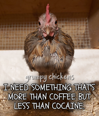 IMG_1637580094243.png