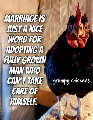 IMG_1637634837573.png