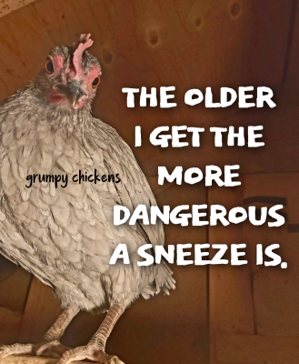 IMG_1638921335673.png