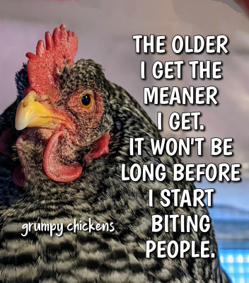 IMG_1648721801295.png