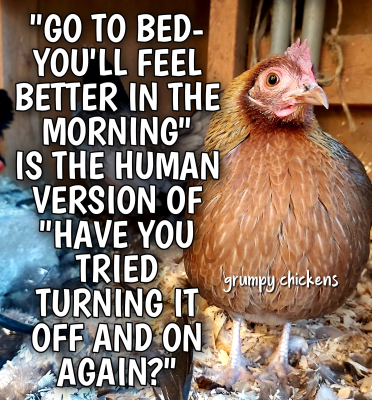 IMG_1640172364234.png