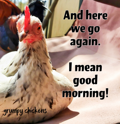 created_image_1588211627285.png