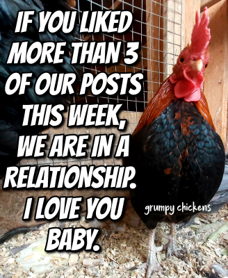 IMG_1640172659898.png