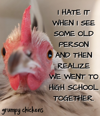 IMG_1607049792742.png