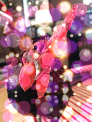 SuperPhoto_170716124407.jpg