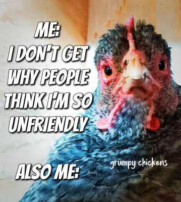 IMG_1646930512357.png